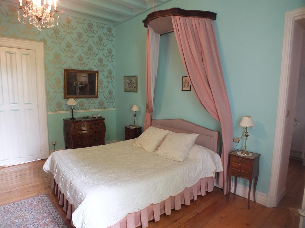 Chateau De Naze Vivy-Saumur Buitenkant foto