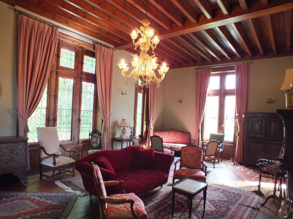 Chateau De Naze Vivy-Saumur Buitenkant foto