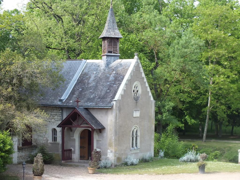 Chateau De Naze Vivy-Saumur Buitenkant foto