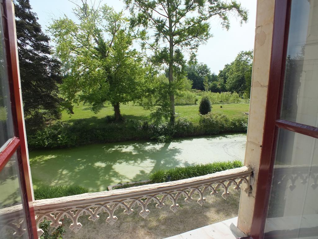 Chateau De Naze Vivy-Saumur Buitenkant foto