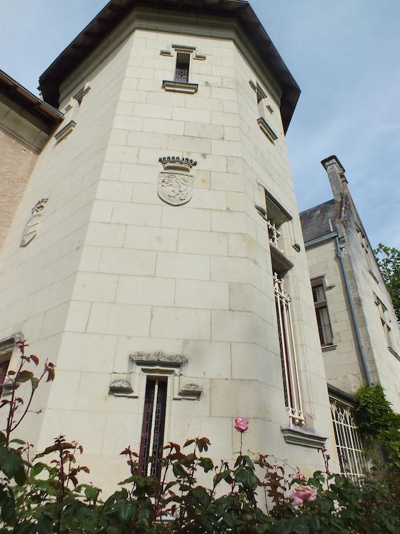 Chateau De Naze Vivy-Saumur Buitenkant foto